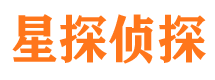 黄石侦探公司